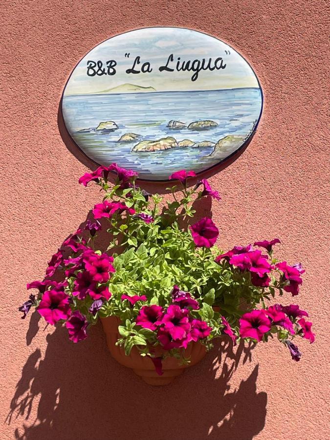 B&B La Lingua プロチーダ エクステリア 写真